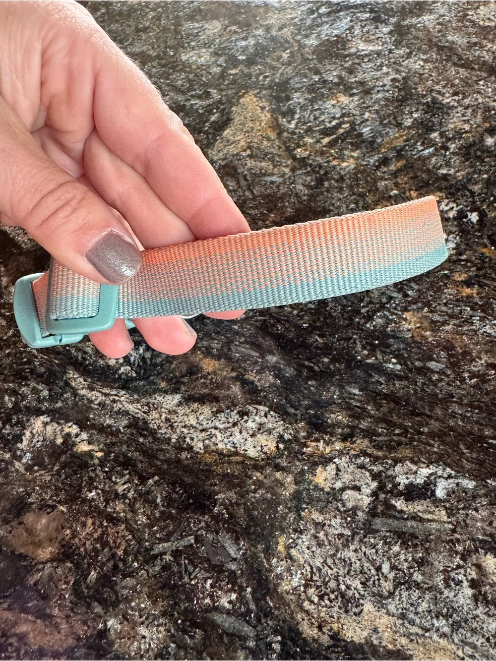 Ruffwear Two-Tone Coral and Mint Adjustable Dog Collar S